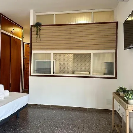 Wasela 312 Palamós