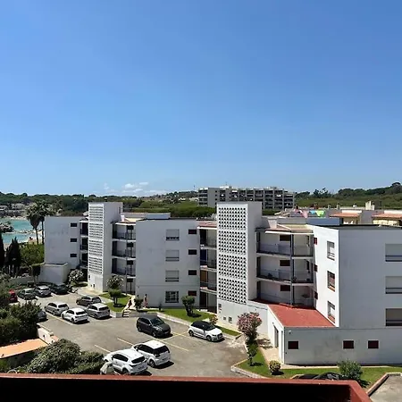 Wasela 312
