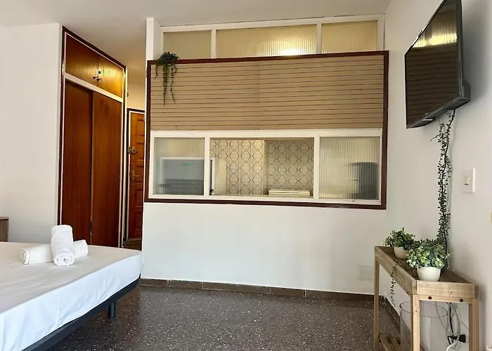 Wasela 312 Palamós