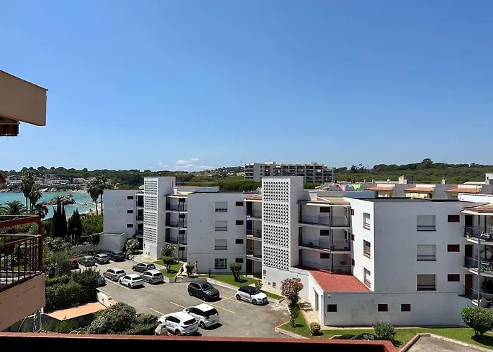 Wasela 312